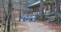 아름다운 풍경이 불교를 망친다