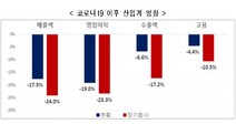 “코로나19 유행 두달 간 주요 업종 매출액 17.5% 감소”