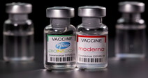 미 CDC, 크루즈 여행경보 완화…“백신 다 맞은 사람은 타도 돼”