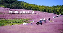 중국 농촌관광 활성화
