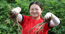 농활, 이렇게 재미있는 거구나! [만리재사진첩]