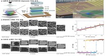 서강대학교 물리학과 유효빈, 양상모 교수 연구팀,2차원 소재의 분극 도메인 구조 변화 실시간 관찰