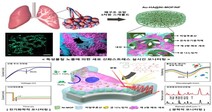 서울시립대-건국대 공동연구팀 폐 질환 독성물질 실시간 모니터링 모델 개발, 세계적 학술지 표지논문에 게재