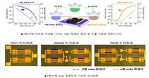 서강대-성균관대 공동연구팀, 도핑된 퀀텀닷 반도체 합성 기술 개발