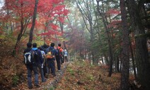 속리산에도 둘레길…만산홍엽 둘레길 걷기대회