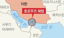 내년 2월 청해부대 호르무즈 해협 파병되나