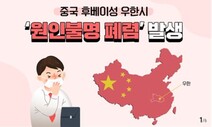 ‘원인불명 중국 폐렴’  의심환자 국내 첫 발생