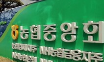[사설] ‘농민은 뒷전’인 깜깜이 농협중앙회장 선거