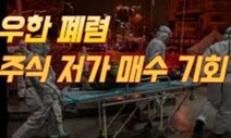 이 와중에 유튜브선 “코로나 테마주로 인생역전”…박쥐 먹방까지