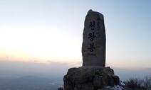 멸종위기 ‘산양’, 대구 비슬산맥에 서식 최초 확인