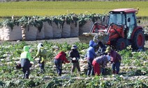 “전국 농가 30%에 월 10만원 소농 직불금”