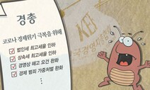 [안재승 칼럼] 벼룩도 낯짝이 있다는데…