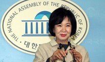 [2020총선] 손혜원, 양정철 향해 “많이 컸다” 저격