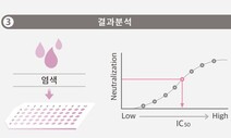 셀트리온, 코로나 항체치료제 후보 38종 확보…“7월 인체임상 목표”