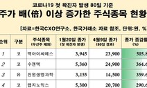 코로나19 사태 후 주가 2배 이상 뛴 기업 28곳