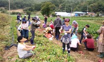 서울 청년 ‘슬기로운 괴산살이’…주 4일 일하고, 하루는 봉사