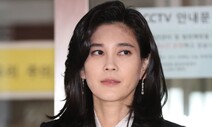 경찰 “이부진 프로포폴 불법 투약 증거 없어”…내사 종결