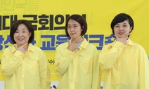 [사설] 정의당, ‘10% 지지’ 잊지 말고 ‘진보 가치’ 재정립을