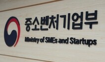 중기부, 소·부·장 강소기업 45개사 추가 선정…최대 182억원 지원