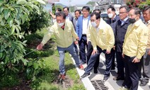 ‘과수 화상병’ 충주 등 급속 확산…치료제 없어 속수무책