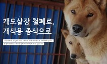 올해는 끝내자…동물단체들 ‘개 식용 철폐’ 한목소리