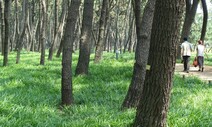 “서천서 한산모시 입고 소곡주 마시며 ‘백제의 정취’ 느껴봐요”