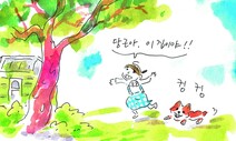 [김금숙의 강화일기] 당신이 꿈꾸는 집