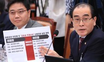 [사설] 태영호 “사상 전향” 망언, 또 색깔론 꺼내든 통합당