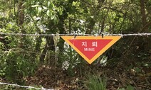 군, 철원·화천서 유실된 지뢰 3발 수거…“침수지역 탐색 지속”