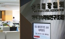 상반기 한국산 제품 수입규제 32건 ‘역대 최다’…신흥국 주도, 철강·화학 ‘조준’