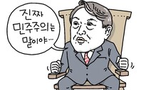 [유레카] 검찰총장의 튀는 민주주의 / 안영춘