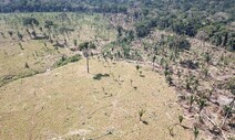 코로나19에 신음하는 아마존의 수호자