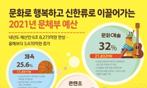 비대면 문화 콘텐츠에 예산 몰아서 지원한다