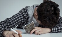 720조 기금운용 국민연금공단 직원 4명 대마초 흡연 적발