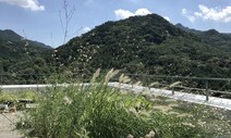 [크리틱] 옥상에서 / 배정한