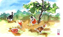 [김금숙의 강화일기] 닭은 닭이다