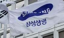 삼성 금융사들 ‘탈석탄’ 선언 공적·민간기관 동참 이끌까