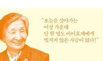 [책거리] 효재, 이효재, 이이효재