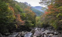 [기고] 지리산 산악열차가 그린뉴딜인가 / 윤여창