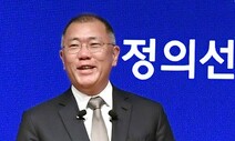 정의선, 그룹 지배구조 개편 “고민중이다”