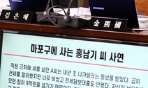 ‘테스형’ 울려퍼진 국감장, ‘마포구 홍남기씨’가 소환됐다