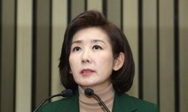 검찰, 나경원 아들 ‘서울대 포스터 1저자 등재’ 무혐의