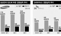 코로나에도 ‘반도체’ 특수 누린 2020년…내년엔 슈퍼사이클 올까?