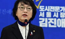 ‘서울시장 출마’ 김진애 “민주당은 우리가 나서준 걸 고마워해야”