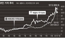 테슬라·비트코인 꺾이면 유동성 장세 끝난다