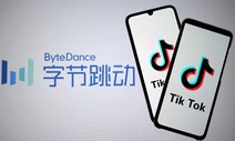 ‘기절 게임’ 사망에…이탈리아, 어린이들 틱톡 이용 일시 차단