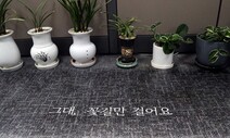 [포토에세이] 그대, 꽃길만 걸어요 / 김경호