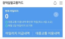 알뜰카드 이용자 절반은 20대…월평균 1만2천원 페이백