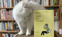 ‘무지개 다리’까지 편안히…시한부 14살 고양이 간병일기