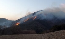 정선 노추산 산불 18시간 만에 진화…산림 12㏊ 소실